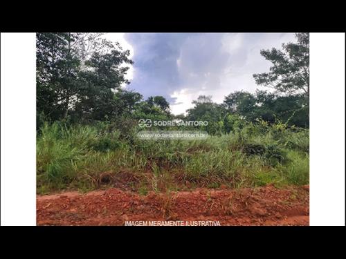 Leilão 28622 - 005 Lote rural (Desocupado)