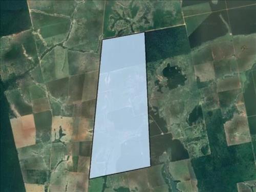 Imóvel Rural com Área de 1.209 ha (Fazenda São José) - São José do Xingu - MT