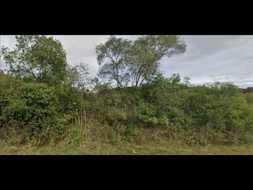 LOTE 111        TERRENO RURAL COM 48.649,00M2 EM FLORES DA...