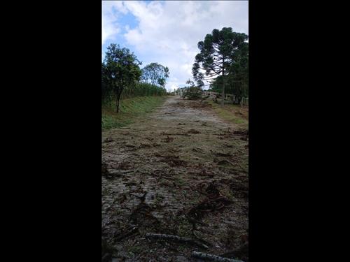 Imóvel Rural com área de 74.465,00m² localizado em São José dos Pinhais/PR