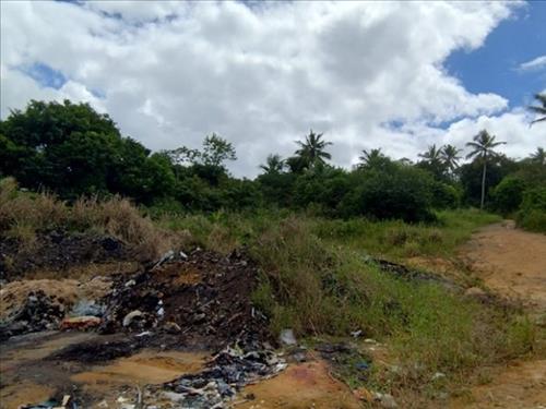 Terreno, A.T.- 70.000m², Igarassu/PE (28312) | Miranda Carvalho Leilões