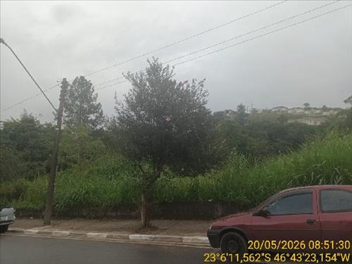 Terreno          -   - 6.445,93m2