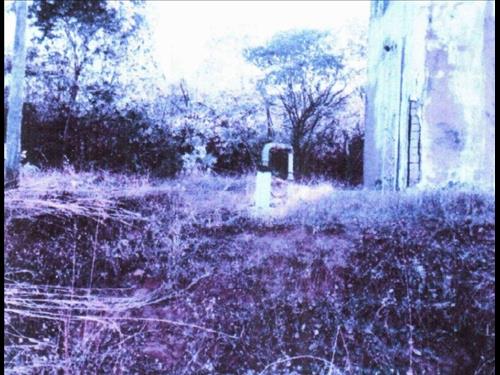 LOTE 001        IMÓVEL EM TERRENO COM 10.000M2