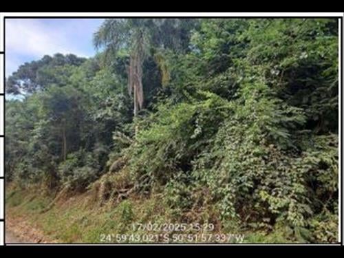 Gleba            -   - 60.500,00m2