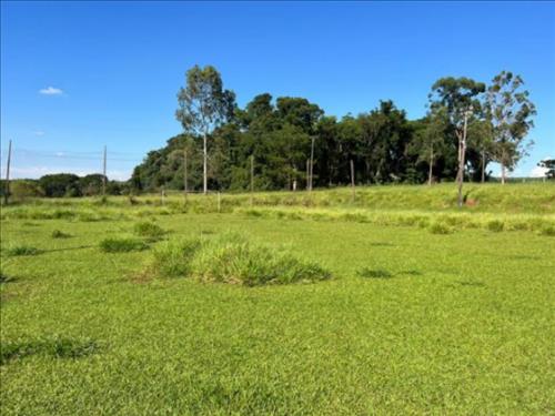 Chácara/Sítio, Misto, Zona Rural