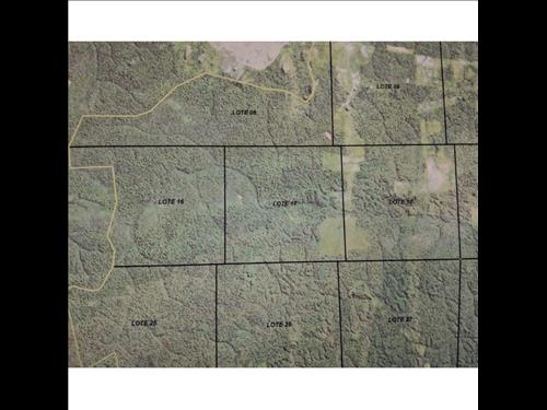 Imóvel Rural com 3.136,7472 ha localizados em Colniza/MT - (LOTE 17)