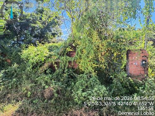 Casa             -   - 59,00m2