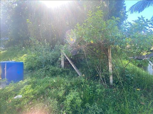 Terreno urbano com área de 15.787,53m² , Brusque/SC