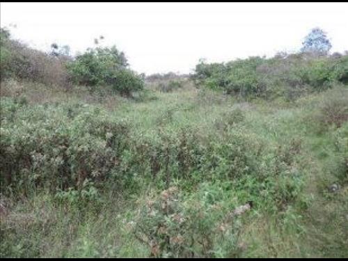 LOTE 001        Gleba de Terra em Bom Jardim/PE