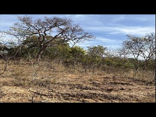 Área Rural 50 ha - Buritis-MG - Fazenda São Vicente ou Santa Tereza - Gleba 01 - Zona Rural