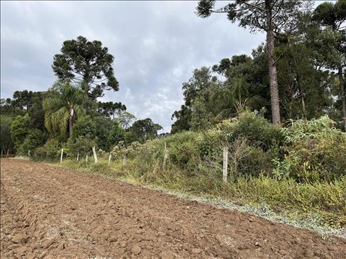 Terreno rural, com a área de 49.283,30 m², São Mateus do Sul/PR