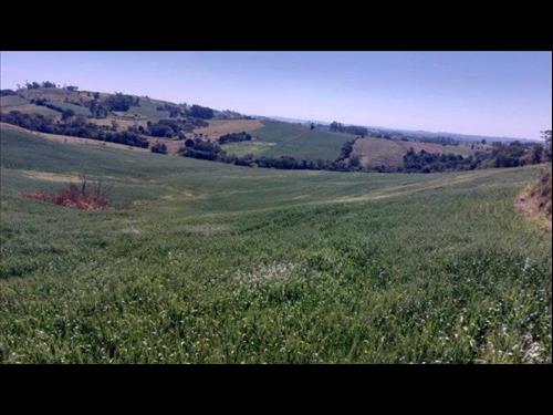 Imóvel Rural com Área de 72.600 m² (Gleba Alvorada) - Colônia Muquilão - Nova Tebas - PR