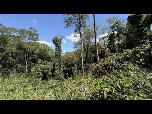 Direitos sobre Terreno com 1.316 m² - Arujazinho I, II e III - Arujá - SP