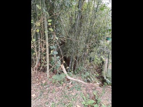 Terreno em Condomínio 1.364,00m² - Residencial Patrimônio Do Carmo, São Roque/SP