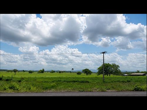 Foto de LOTE DE TERRAS ÀS MARGENS DA BR-174 | MANAUS/AM