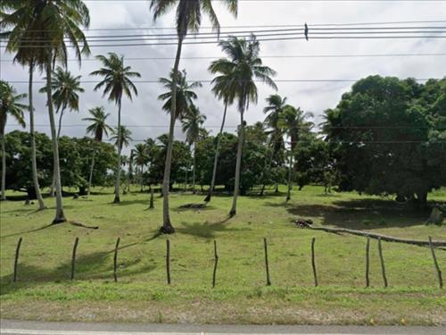 Imóvel Rural, 208ha, Brejo Grande/SE (28461) | Grupo Lance