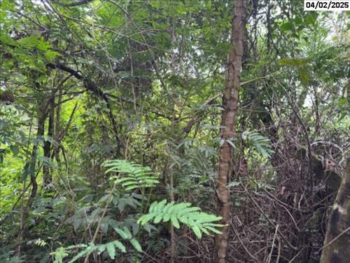 Cotia/SP  | Terreno c/ 5.010,88m²