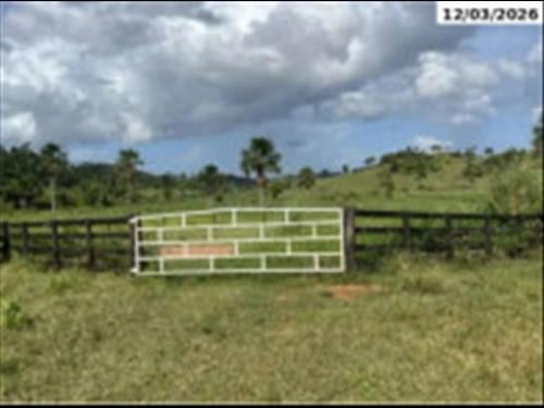 Ministro Andreazza/RO - Sítio com 25,03 hectares