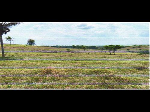 Foto de IMÓVEL RURAL | A.T. 27.2712 HA (VERDE SERINGAL) | CORUMBIARA/RO