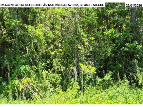 Grande terreno c/ 360,7 hectares (3.607.415,80m²)
