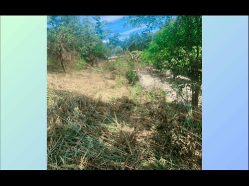 Terreno 329m² Muriaé