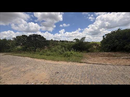LOTE 181        [1555520660247]  Terreno 1000m²    -  ALIA...