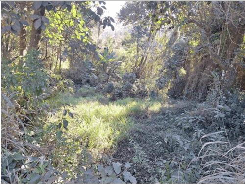 JARINU- LOTE DE TERRENO COM 729,43M³