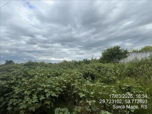 LOTE 385        [1555515611233]  Terreno 3500m²  -  SANTA...