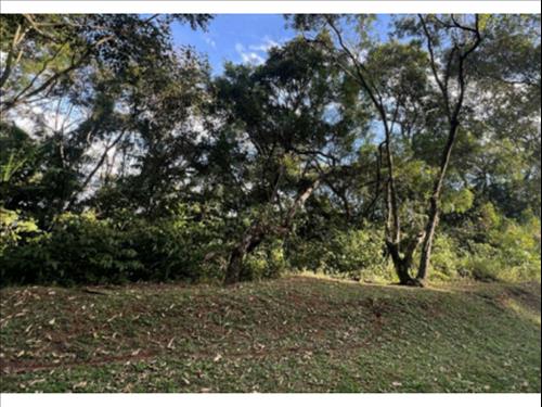 Terrenos à venda em leilão