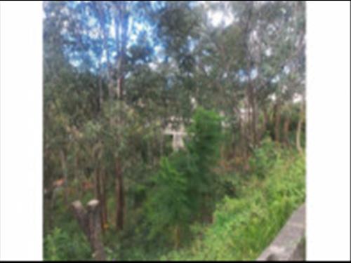 Poços de Caldas/MG - Imóveis Urbanos - Veículo