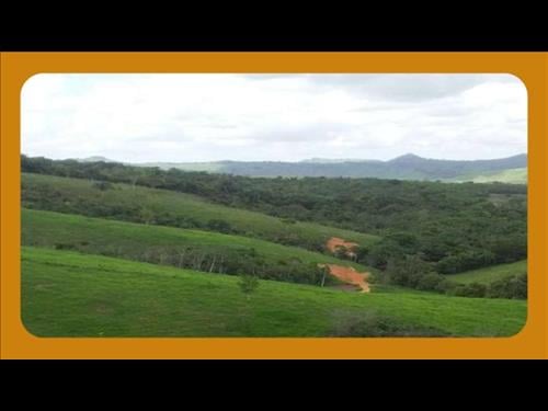 Foto de IMÓVEL RURAL DENOMINADO FAZENDA SANTA ROSA, SEM EDIFICAÇÃO, APENAS ÁREA DE PASTO E DE MATA, CAJUEIR...