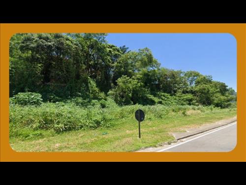 Foto de TERRENO MEDINDO 6.0 HACTARES, LOCALIZADO AS MARGENS DA BR 101, NO MUNICIPIO DE MAMANGUAPE/PB.__