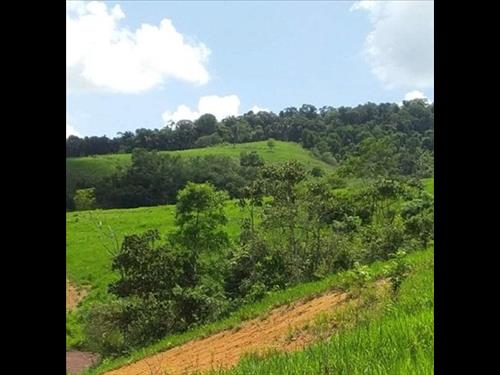Foto de Imóvel Rural, 33ha, Cajueiro/AL (28511) | Miranda Carvalho Leilões