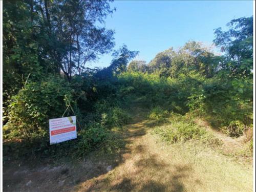 Terrenos à venda em leilão