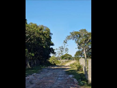 Terras rurais com área de 67.905,74m² - São Francisco do Sul/SC