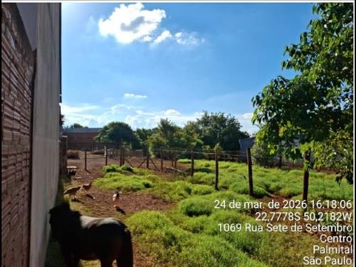 1 Terreno | Área de 2.426,95 m² | Rua Sete de Setembro, Centro, Palmital/SP