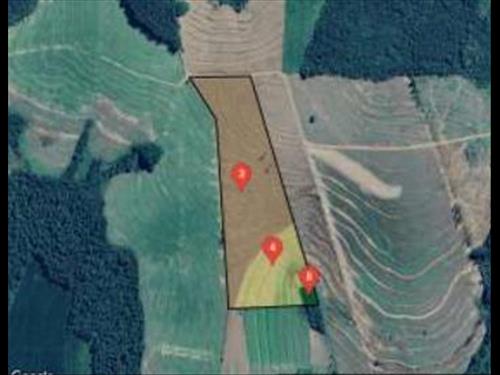 IMÓVEL RURAL COM 14.5 ALQUEIRES - JANIÓPOLIS/PR
