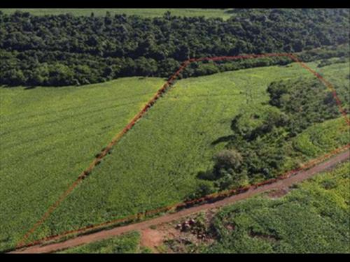 Foto de IMÓVEL RURAL COM 0.82 ALQUEIRES - FORMOSA DO OESTE/PR