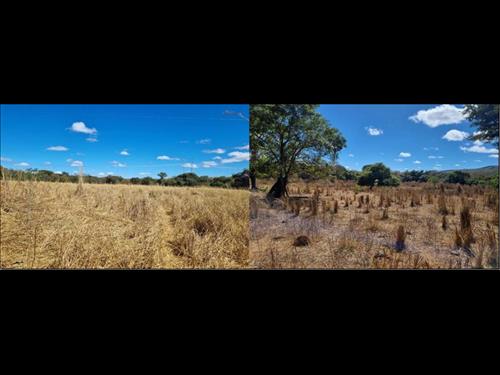 Imóvel Rural Com área total de 139,1041 hectares - Formoso-MG