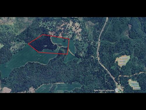 Imóvel Rural | 12,49 Hectares | Localidade Bananas | Guará | Guarapuava/PR