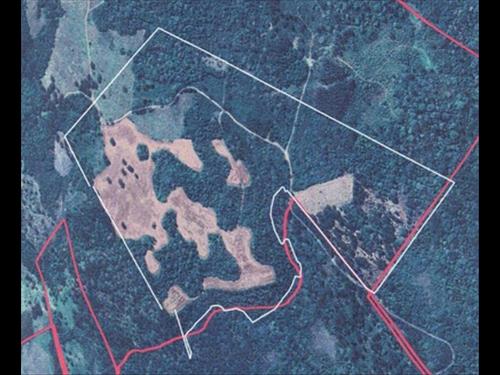 Fazenda Marrecas | 54,23 Hectares | Guairacá | Guarapuava/PR