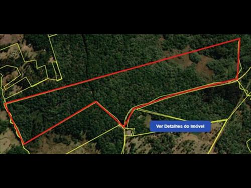 Terreno Rural com 39,1679 Hectares | Mato Dentro (Marrecas) | Guairacá | Guarapuava/PR