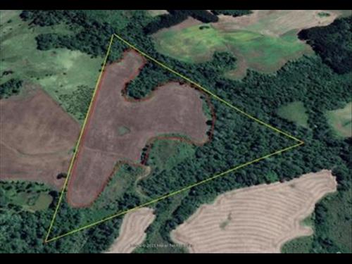 Terreno Rural com 13,97 Hectares | 8,50 ha de Lavoura | Guarapuava/PR