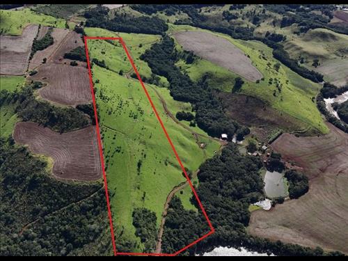 Área Rural com 21,56 Hectares em Pitanga/PR  São José da Colônia Piquiri