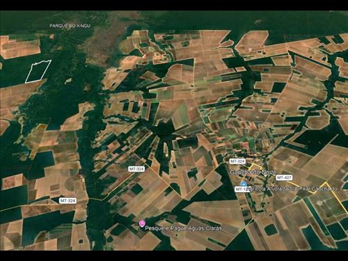 Fazenda Rancho Alegre 501ha | Gaúcha do Norte-MT |Próxima ao Ribeirão Kevualeli