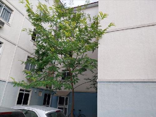 Apartamento      -   - 42,90m2