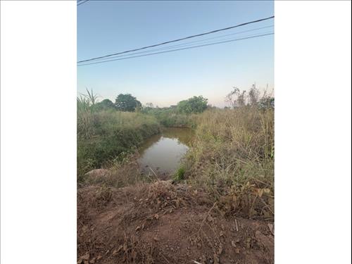 Terreno à venda em leilão