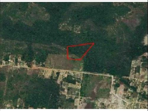 Área Rural à venda em leilão