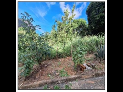 Terreno          -   - 300,00m2