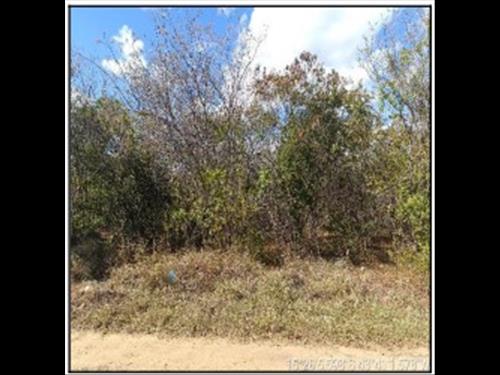 Terreno          -   - 446,71m2